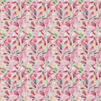 BRYMPTON - RASPBERRY