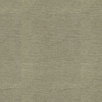 CARDINAL - CELADON
