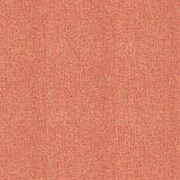 PALERMO - SALMON