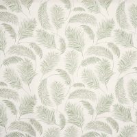 PAMPAS GRASS - APPLE