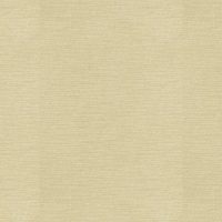 CARDINAL - CREAM