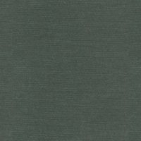 CARDINAL - OCEAN