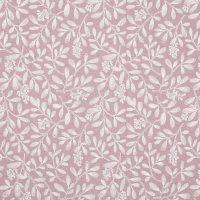 CHARLOTTE 02 - ROSE
