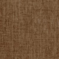 PERRANPORTH - GINGERNUT