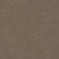VAQUERO - FAWN