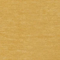 ASPEN - OCHRE