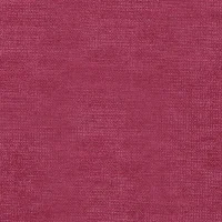 ASPEN - RASPBERRY