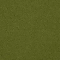 AQUAVELVET - OLIVE