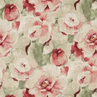 BLOOM - FRENCH PINK