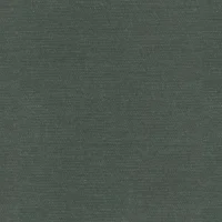 CARDINAL - OCEAN