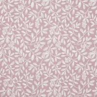 CHARLOTTE 02 - ROSE