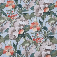 CAPRI - POWDER