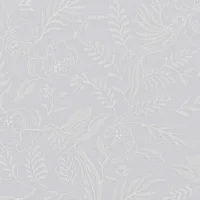 DAYLILY - DOVE GREY