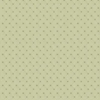 NEW ELEGANT MINI - SOFT GREEN