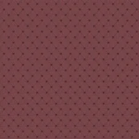 NEW ELEGANT MINI - RICH CLARET