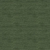 SCALA - FERN