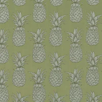 ANANAS - RAINFOREST