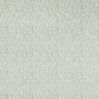 ARLO - FERN