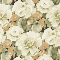 BLOOM - FAWN