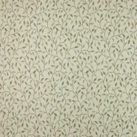 CERVINO - LICHEN