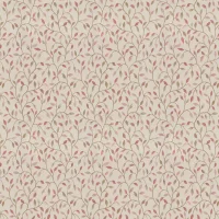 CERVINO - ROSEHIP