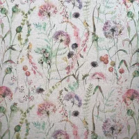 CARLOTTA - ROSA