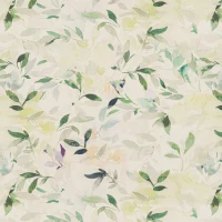 GOUACHE - MOJITO