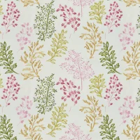 JUNIPER - ROSE