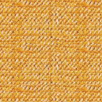NORTHWOOD - MUSTARD