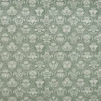 ORTON - FERN