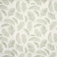 PAMPAS GRASS - APPLE