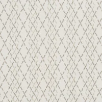 WILLOW - PAMPAS