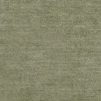 ASPEN - SAGE